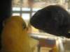 img_8475_small.jpg
