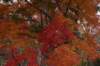 dsc_3327_small.jpg
