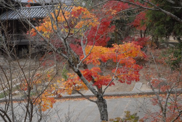 dsc_3340.jpg