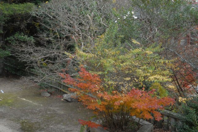 dsc_3348.jpg