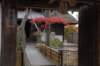 dsc_3370_small.jpg