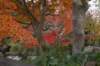 dsc_3372_small.jpg
