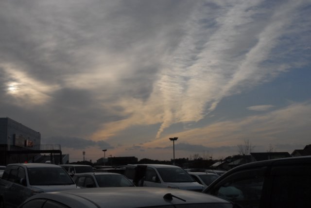dsc_3374.jpg