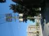 Photo Number 7