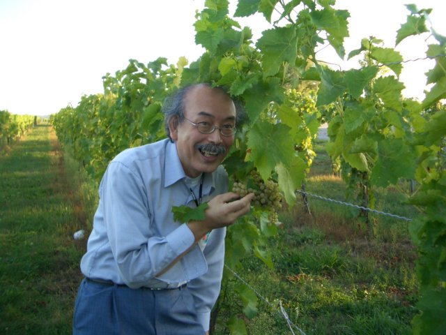 Photograph