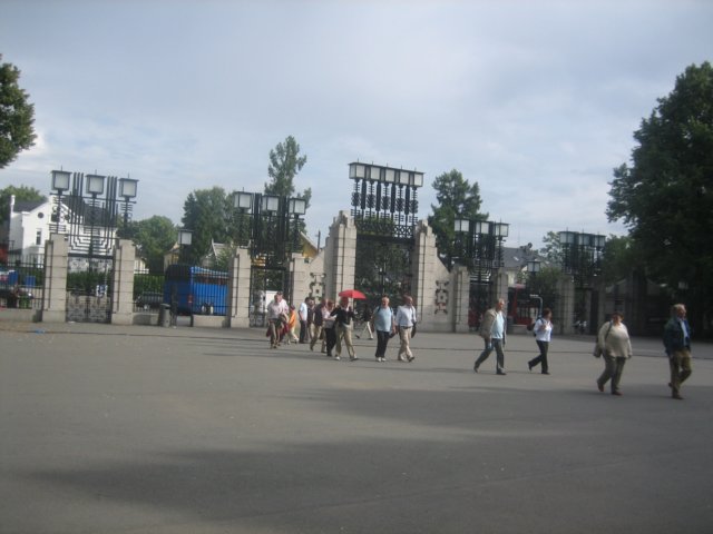 Photograph