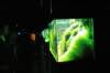 d20070906n_0588_small.jpg