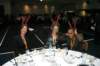 d20080821n_0175_small.jpg