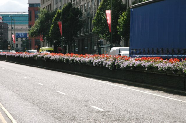 d20080822n_0260.jpg