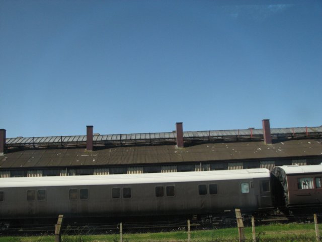 img_0380.jpg