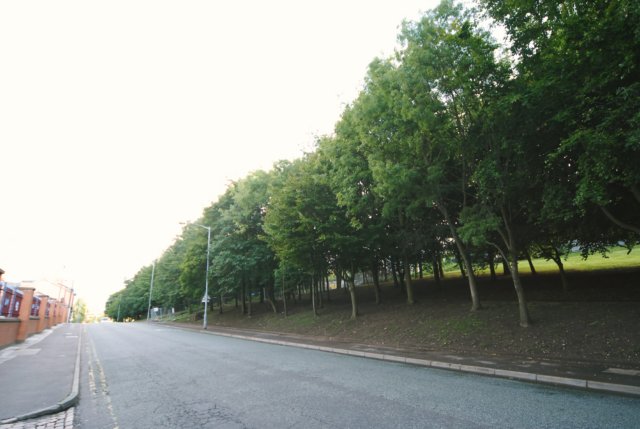 d20080821k_0237.jpg