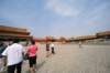 d090826k_0084_small.jpg