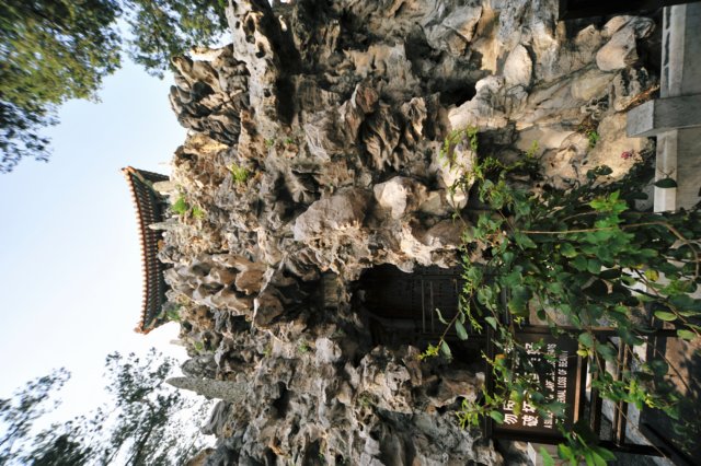 d090826k_0234.jpg