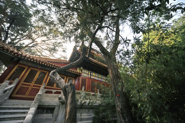 d090826k_0242.jpg