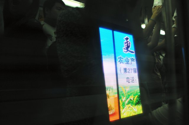 d090828k_0664.jpg