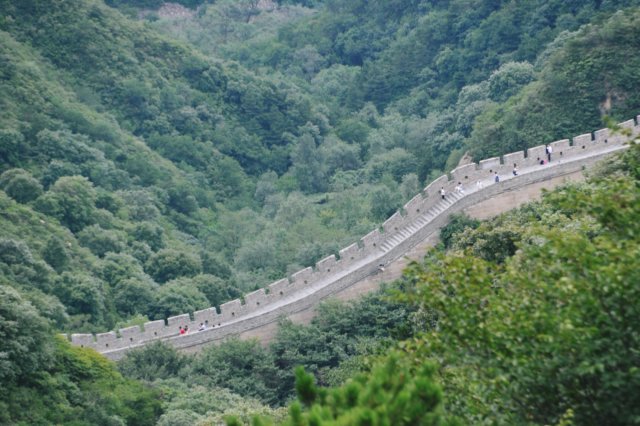 d090829k_0139.jpg