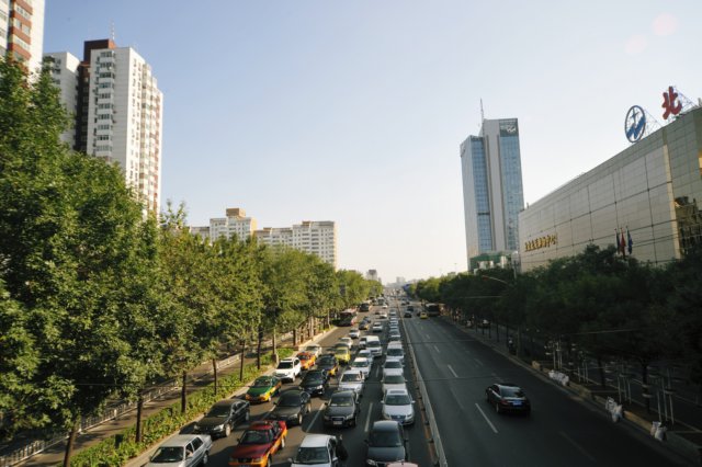 d090829k_0273.jpg