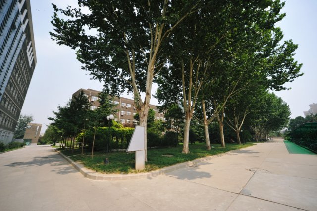 d090830k_0127.jpg