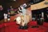 d2010_100916k_0294_small.jpg