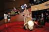 d2010_100916k_0350_small.jpg