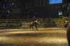 d2010_100916k_0428_small.jpg