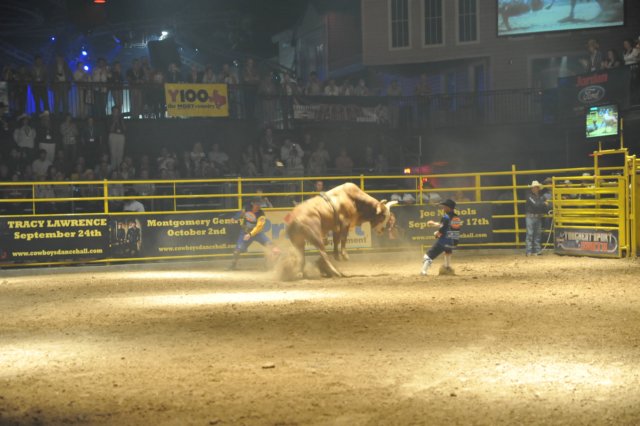 d2010_100916k_0439.jpg
