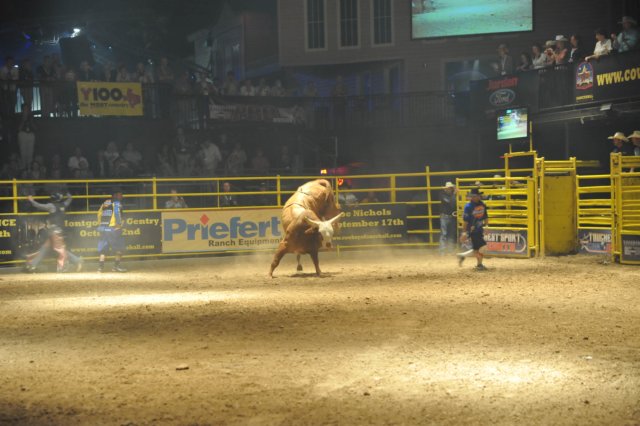 d2010_100916k_0445.jpg