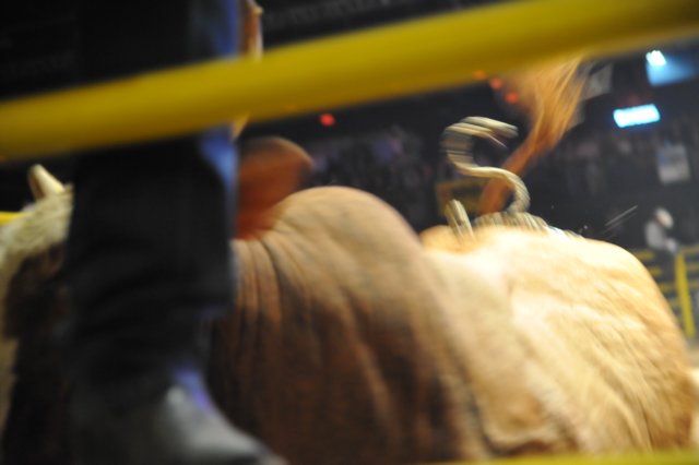 d2010_100916k_0454.jpg