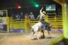 d2010_100916k_0463_small.jpg