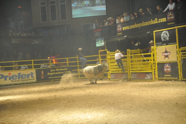 d2010_100916k_0477.jpg