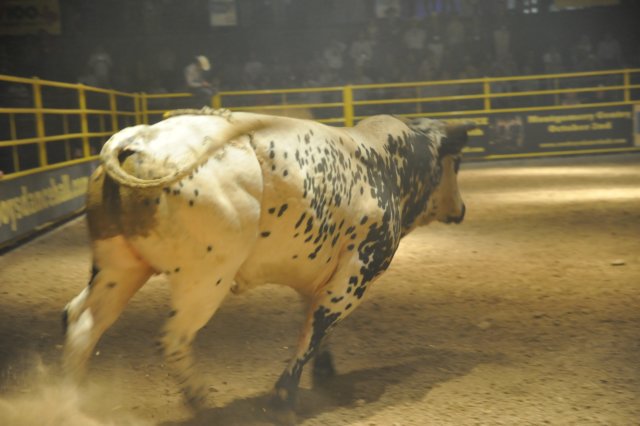 d2010_100916k_0488.jpg