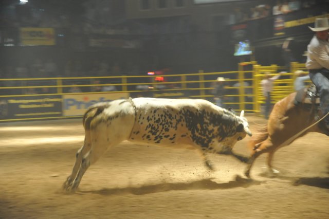d2010_100916k_0490.jpg