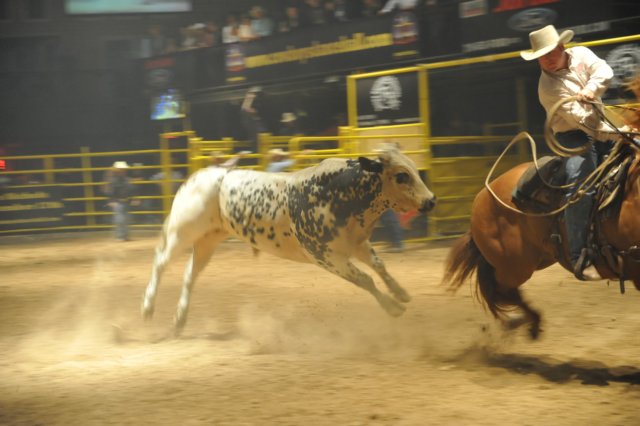 d2010_100916k_0494.jpg