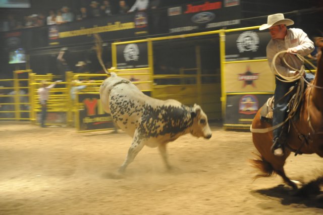 d2010_100916k_0496.jpg