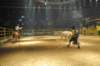 d2010_100916k_0540_small.jpg