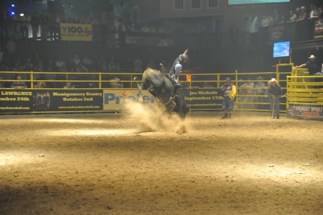 d2010_100916k_0590.jpg