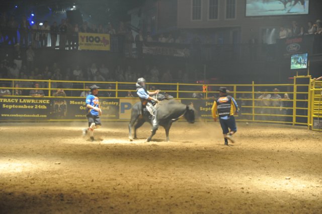d2010_100916k_0615.jpg