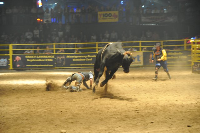 d2010_100916k_0643.jpg