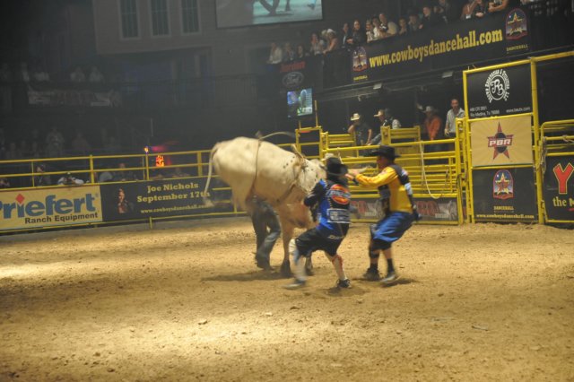 d2010_100916k_0738.jpg