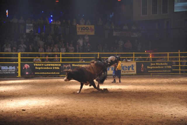 d2010_100916k_0780.jpg