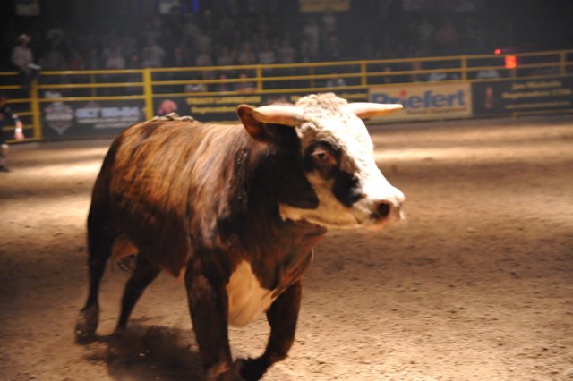 d2010_100916k_0807.jpg