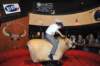 d2010_100916k_1182_small.jpg