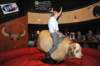 d2010_100916k_1213_small.jpg