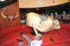 d2010_100916k_1219_small.jpg