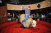 d2010_100916k_1375_small.jpg