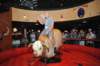 d2010_100916k_1416_small.jpg