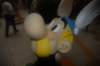 dsc_7104_small.jpg