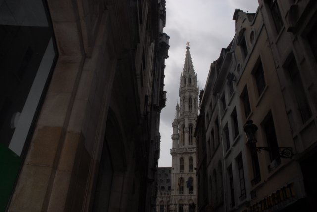 dsc_7797.jpg