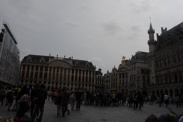 dsc_7800.jpg
