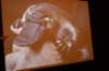 dsc_8757_small.jpg